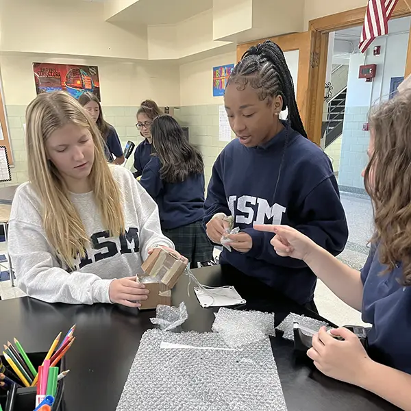 Girls wearing MSM sweatshirts working at a lab table